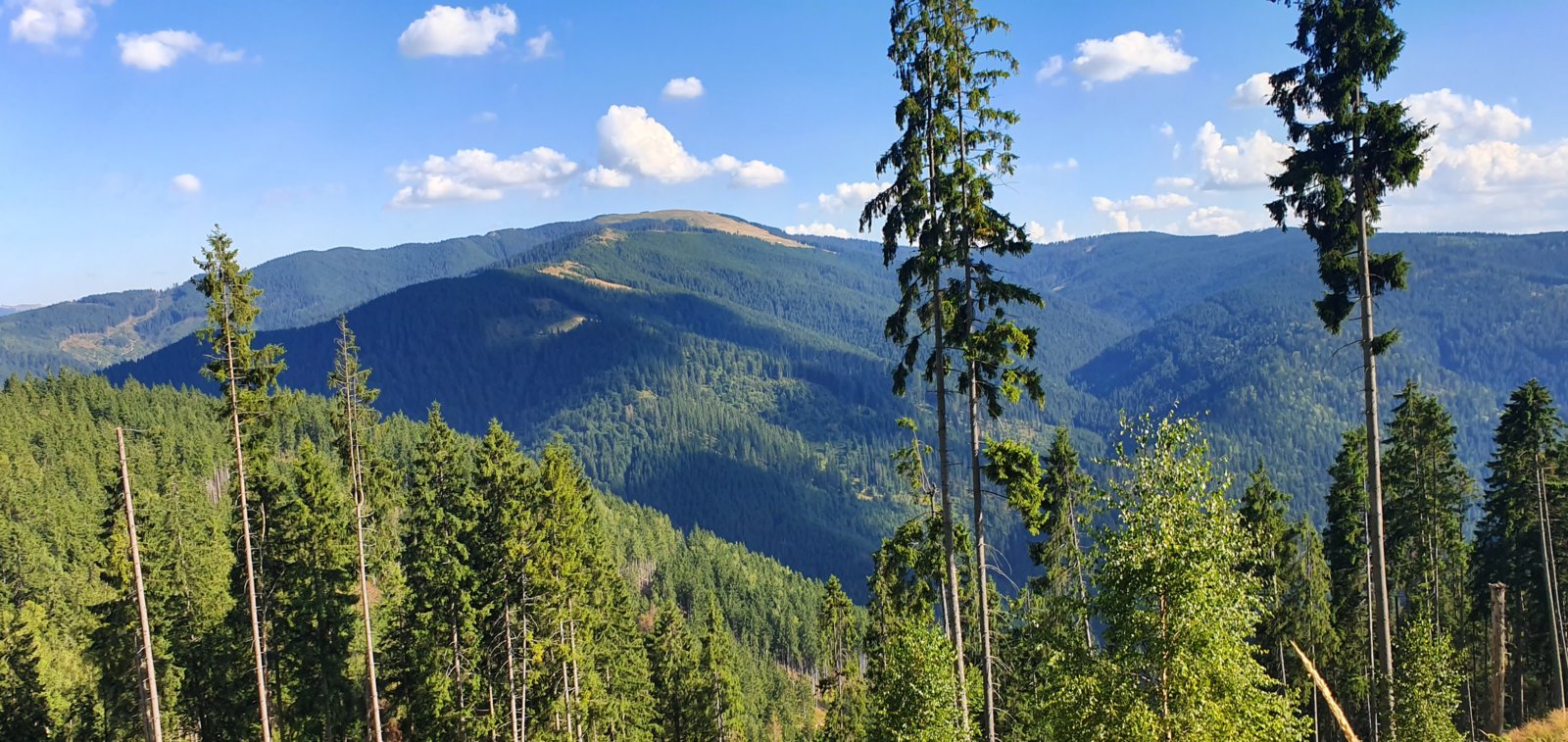 20190821_170346.jpg