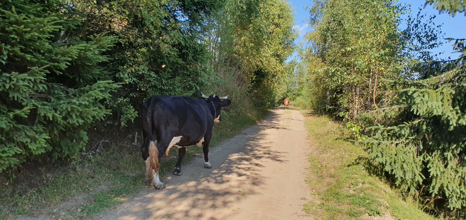 20190821_172628.jpg