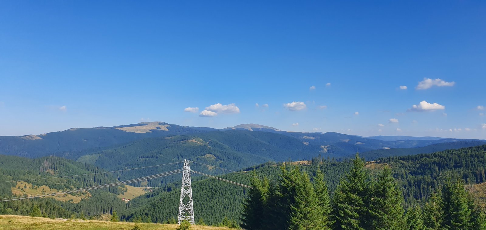 20190821_173637.jpg