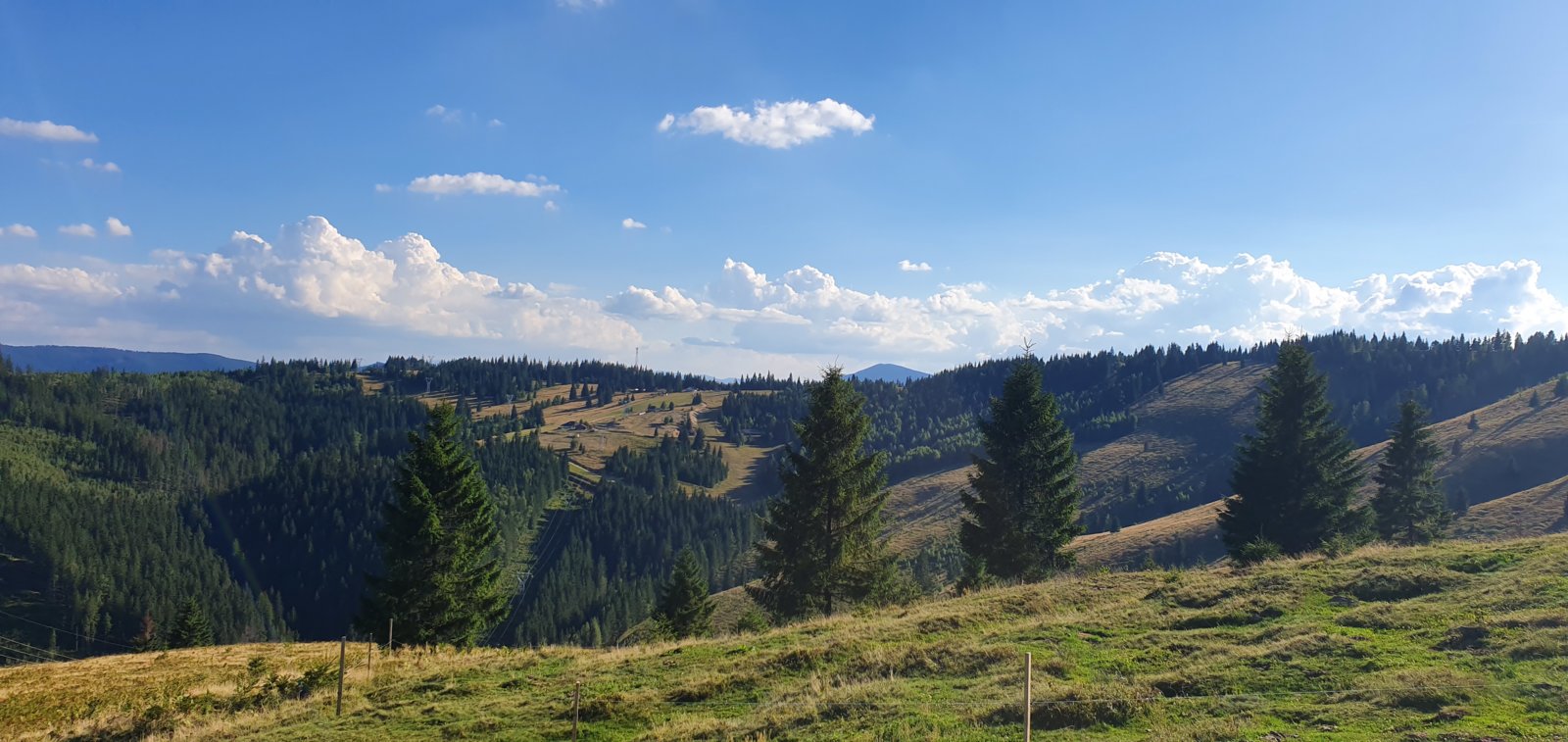 20190821_173719.jpg