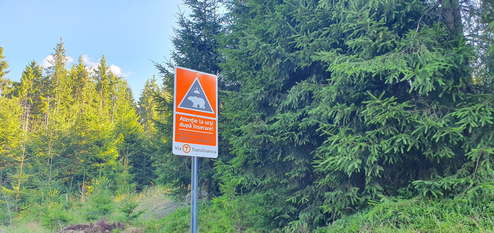 20190821_180445.jpg