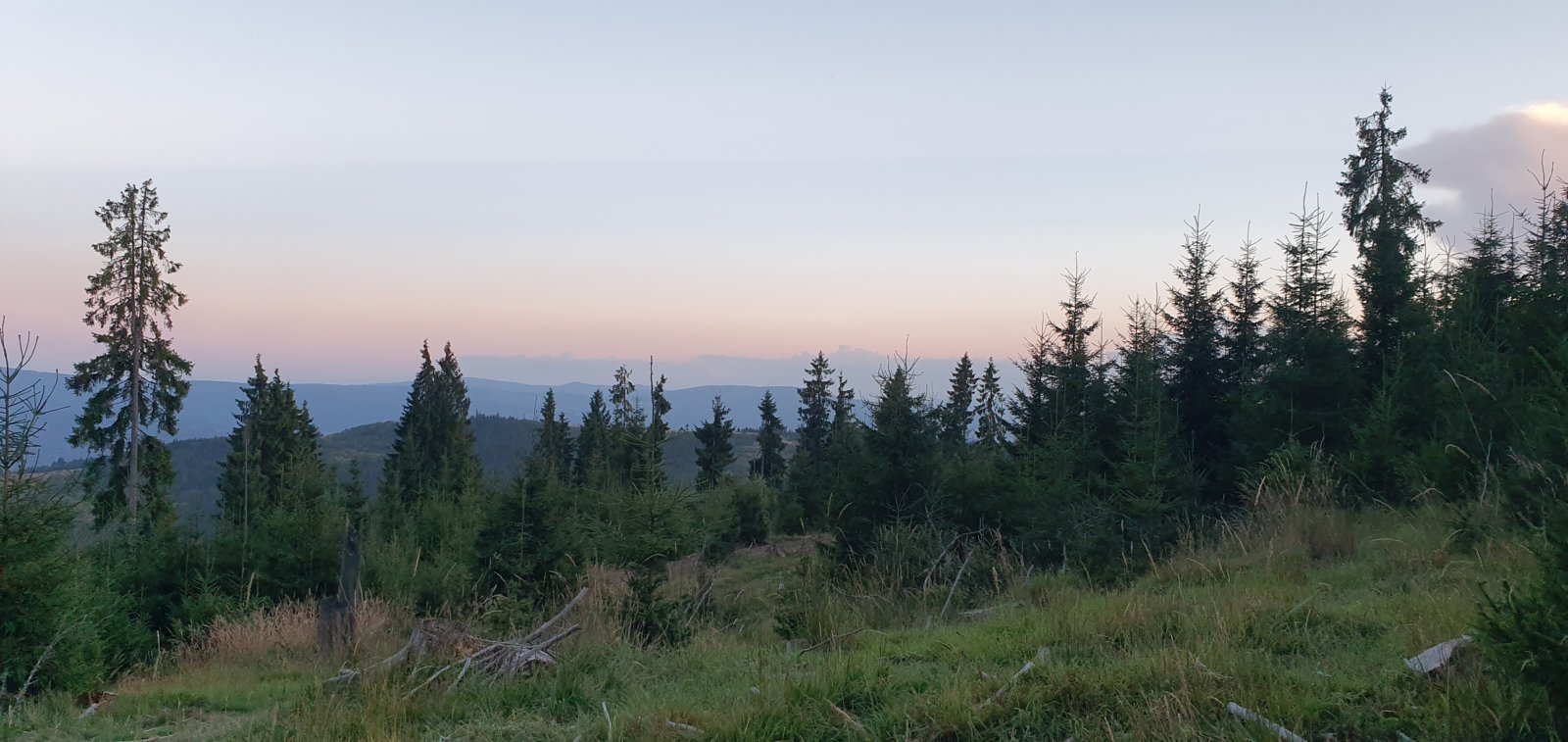 20190821_202125.jpg