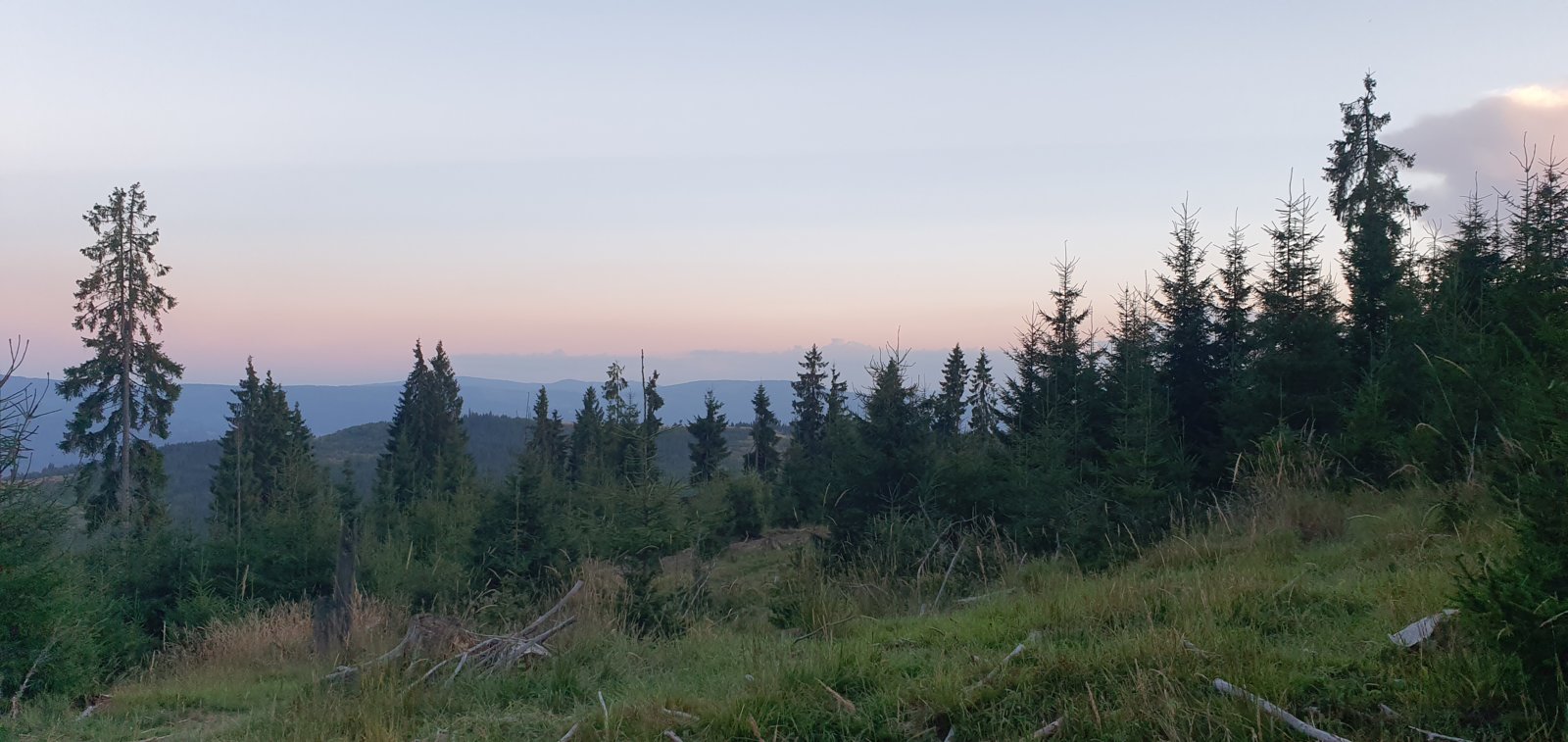 20190821_202131.jpg