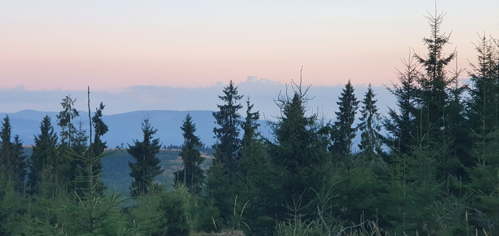 20190821_202137.jpg