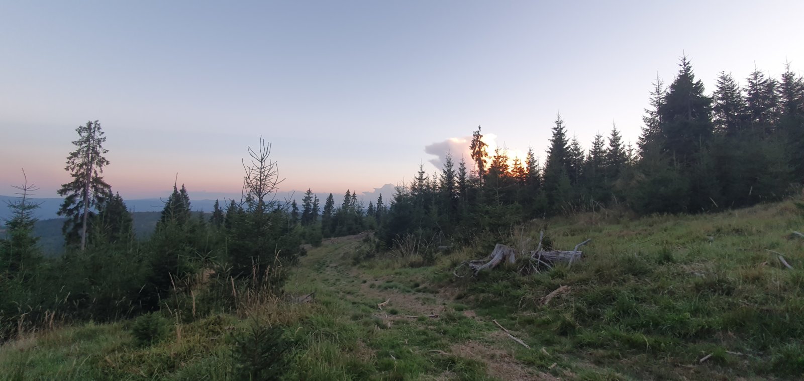 20190821_202213.jpg