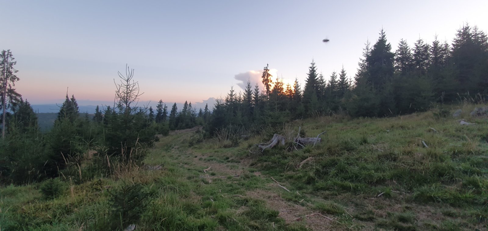 20190821_202215.jpg
