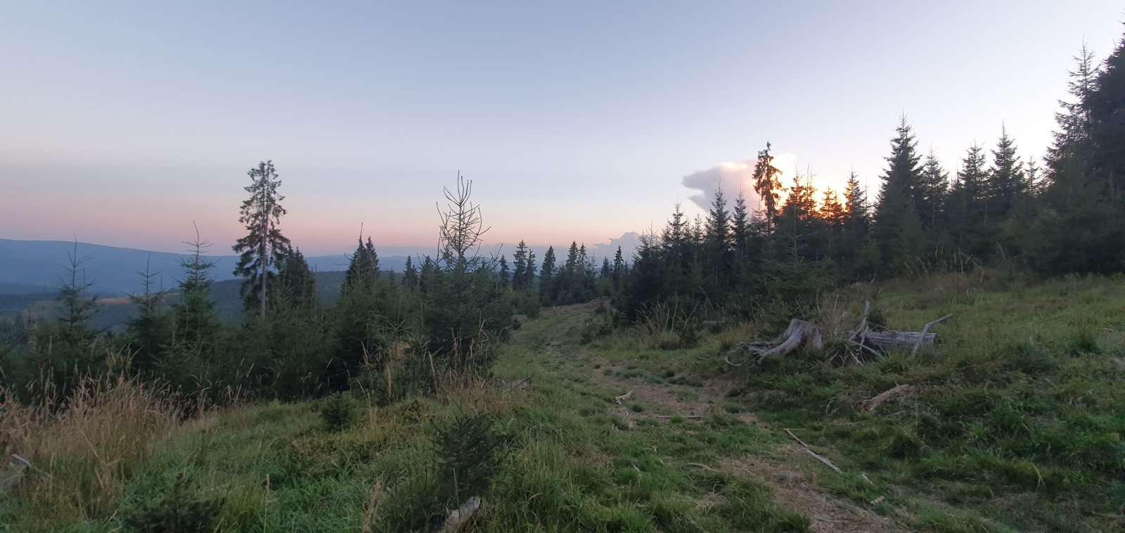 20190821_202218.jpg