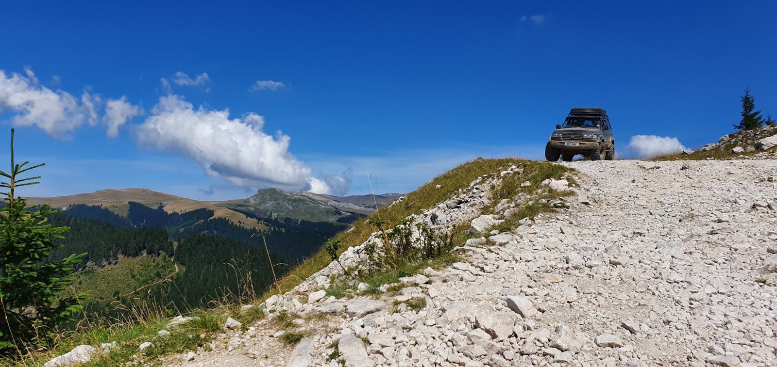 20190823_131834.jpg