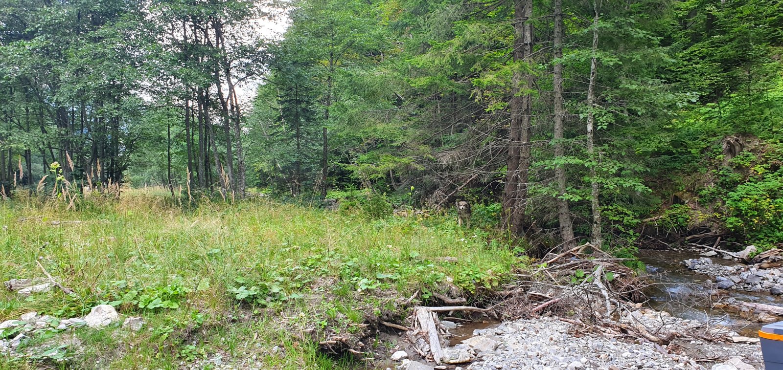 20190825_153439.jpg