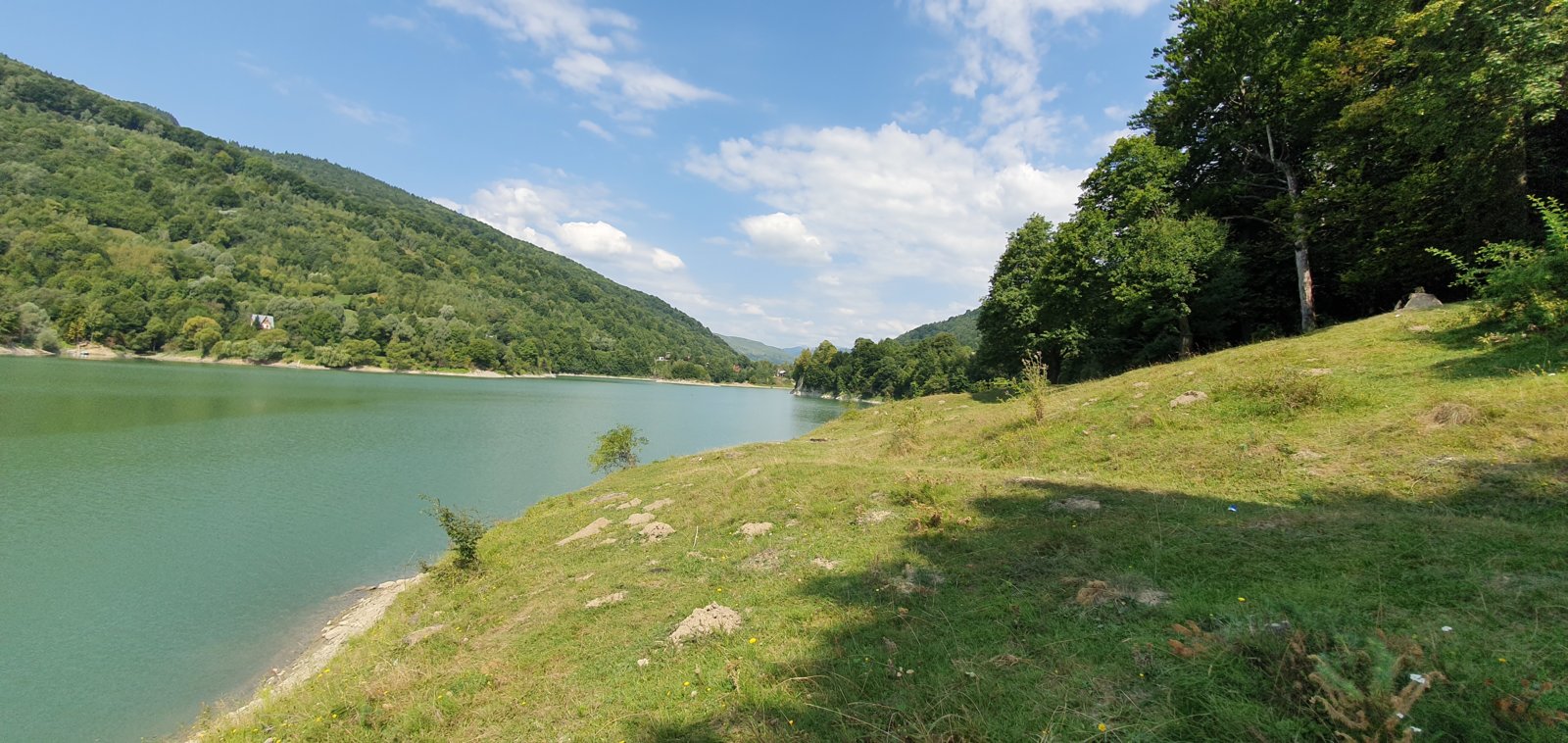 20190827_115617.jpg