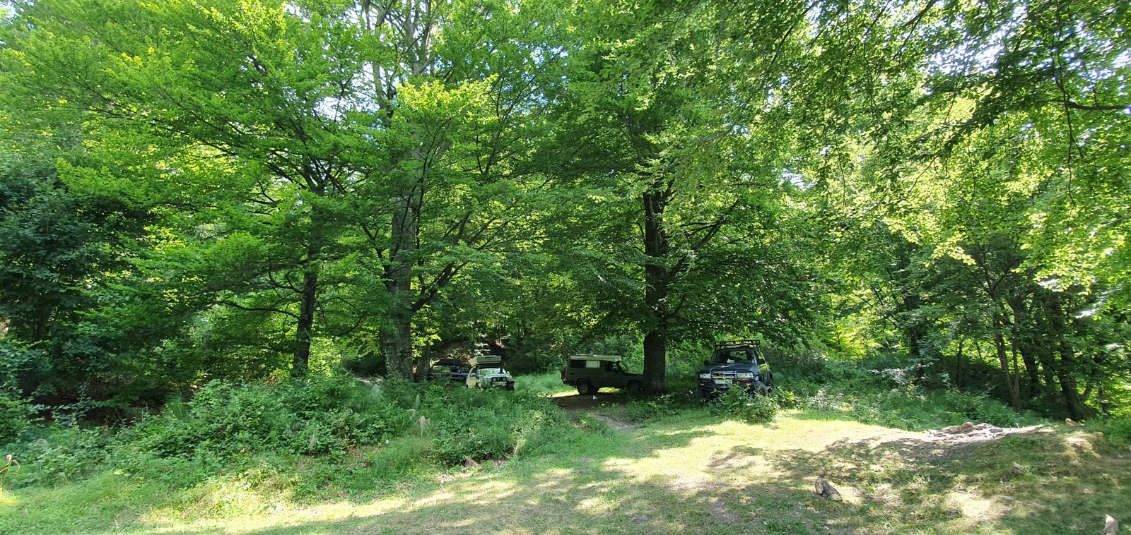 20190827_120256.jpg