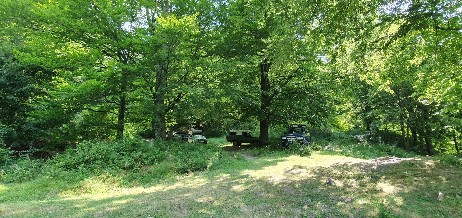 20190827_120300.jpg