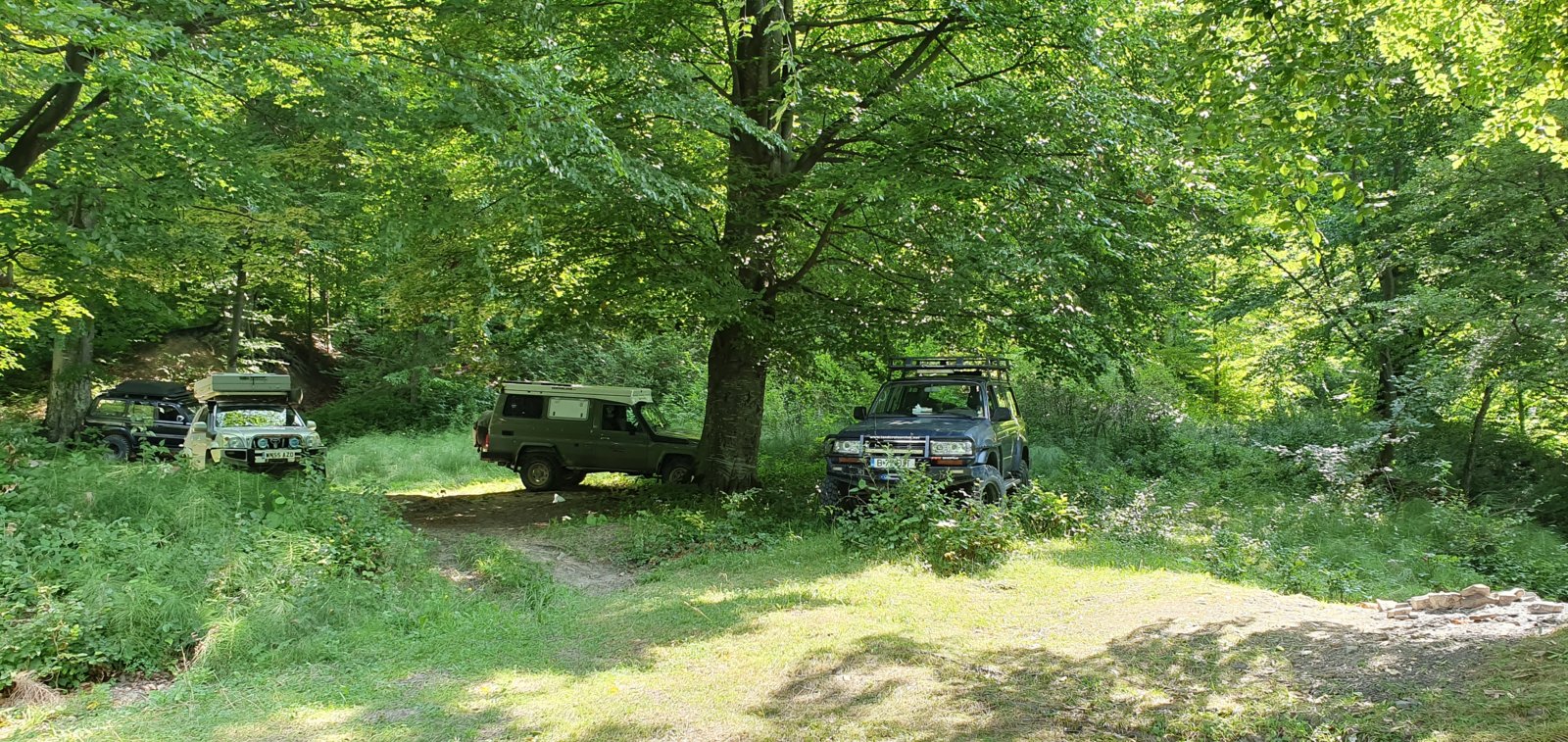 20190827_120317.jpg