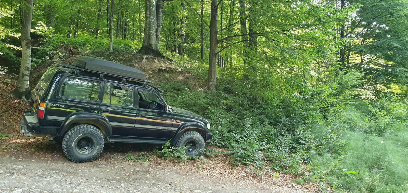 20190827_120523.jpg