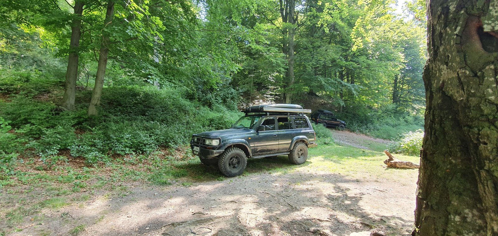 20190827_120624.jpg