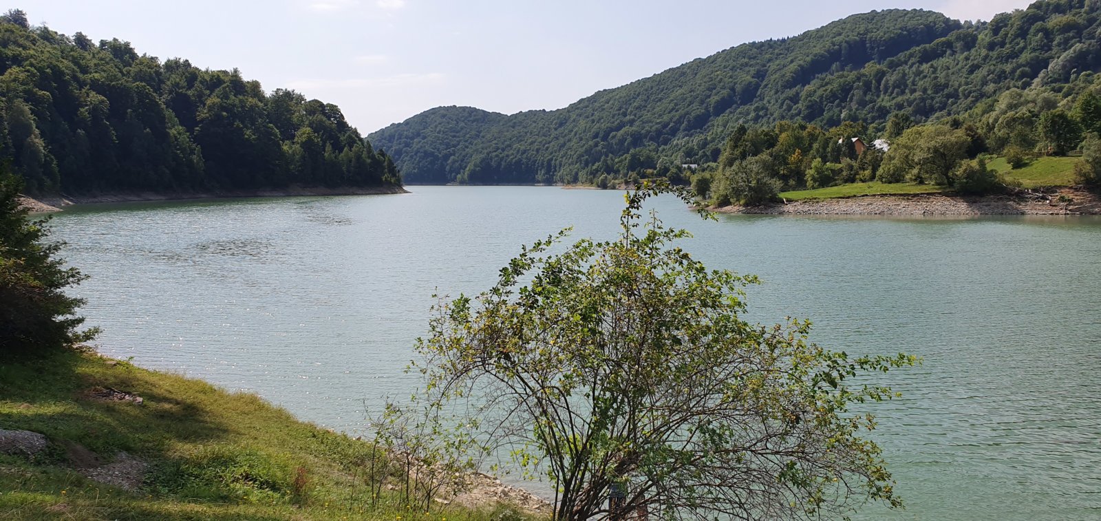 20190827_121053.jpg