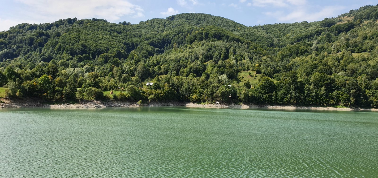 20190827_121057.jpg
