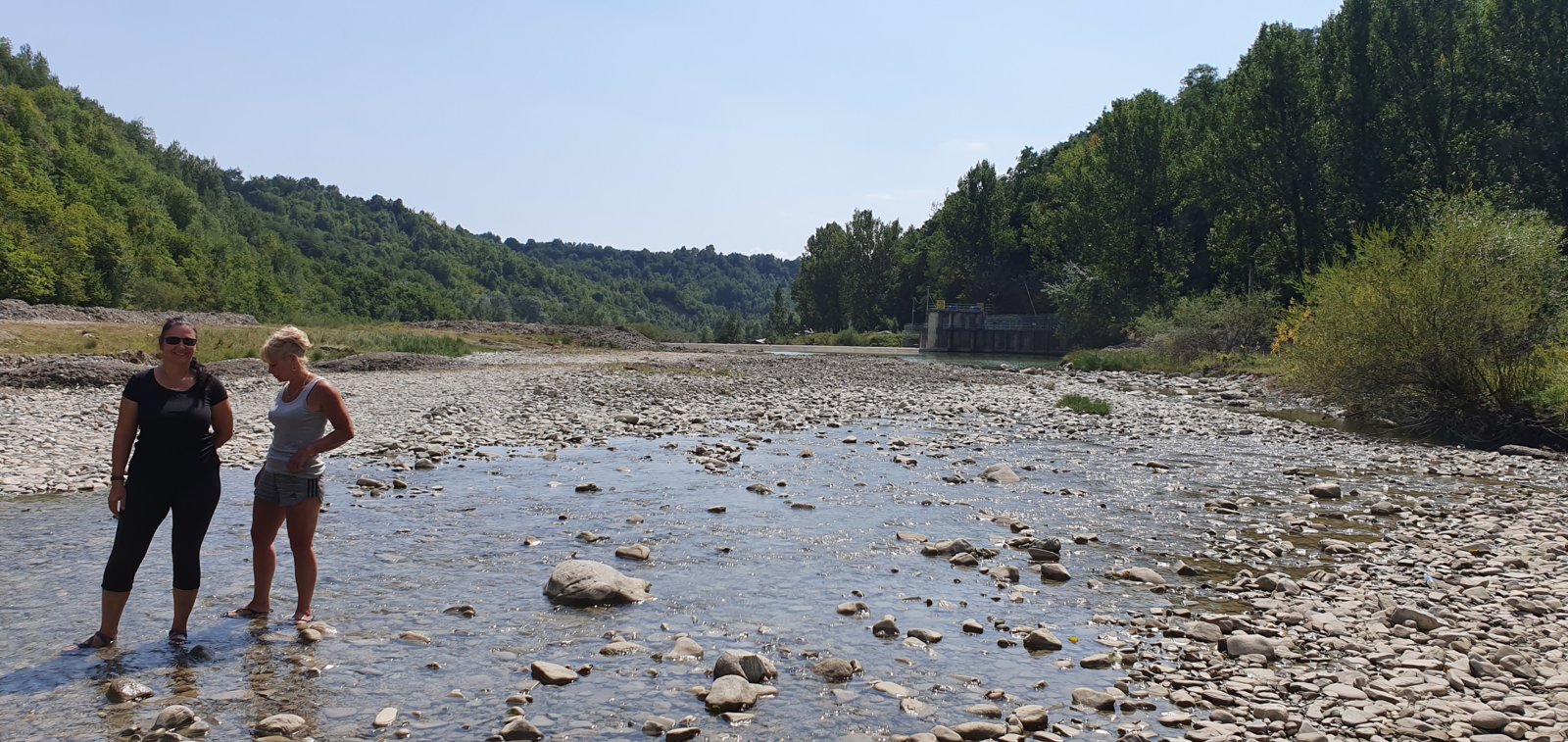 20190827_123653.jpg