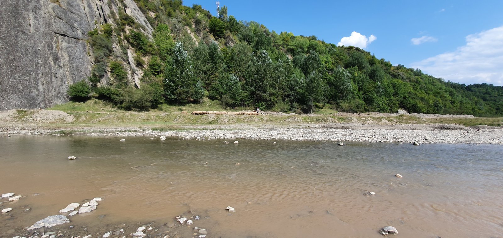 20190827_150337.jpg