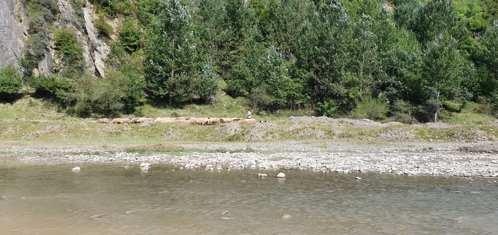 20190827_150346.jpg