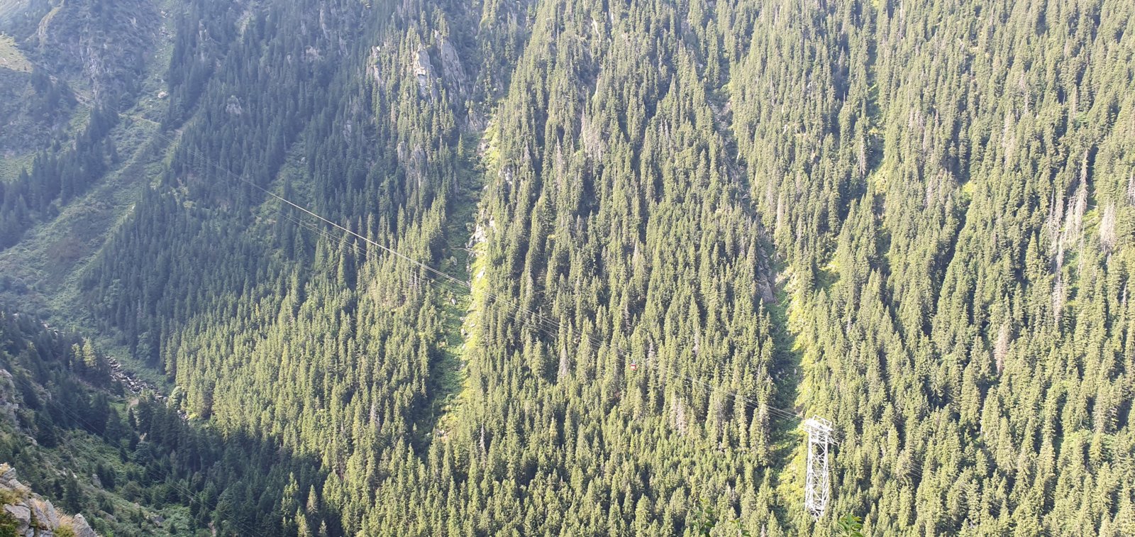 20190828_101522.jpg