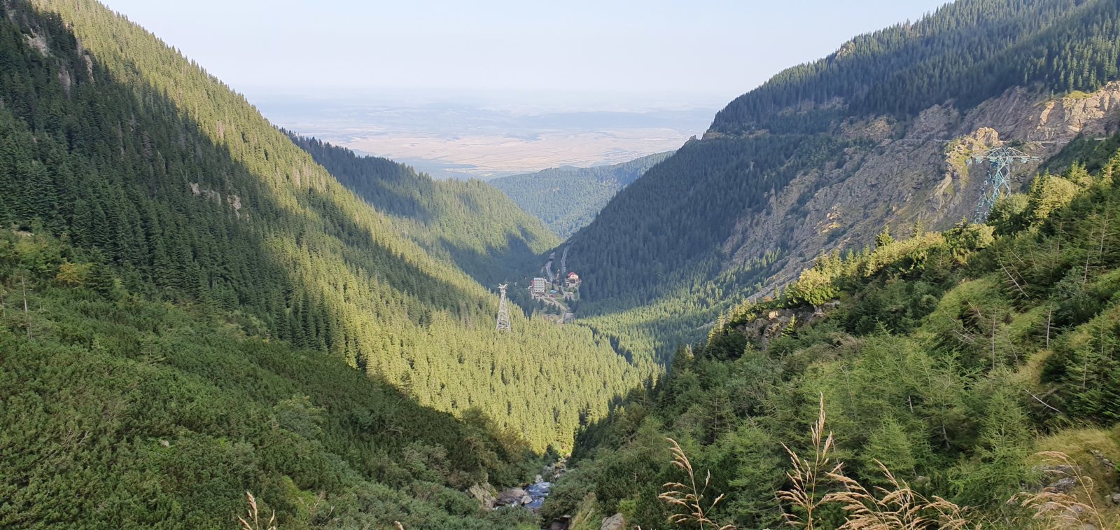 20190828_101931.jpg
