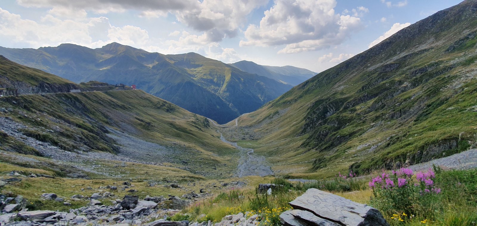 20190828_105640.jpg