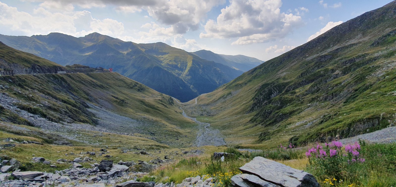 20190828_105648.jpg