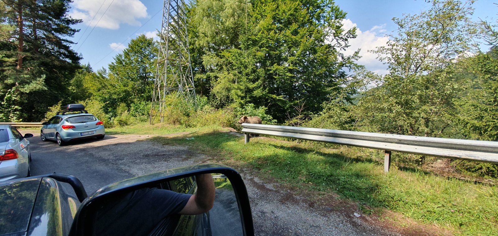20190828_122352.jpg