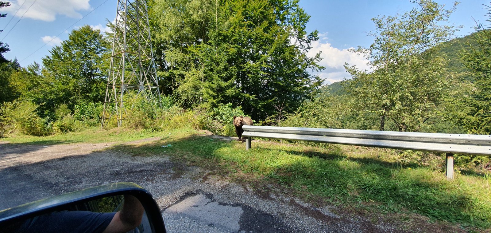 20190828_122356.jpg