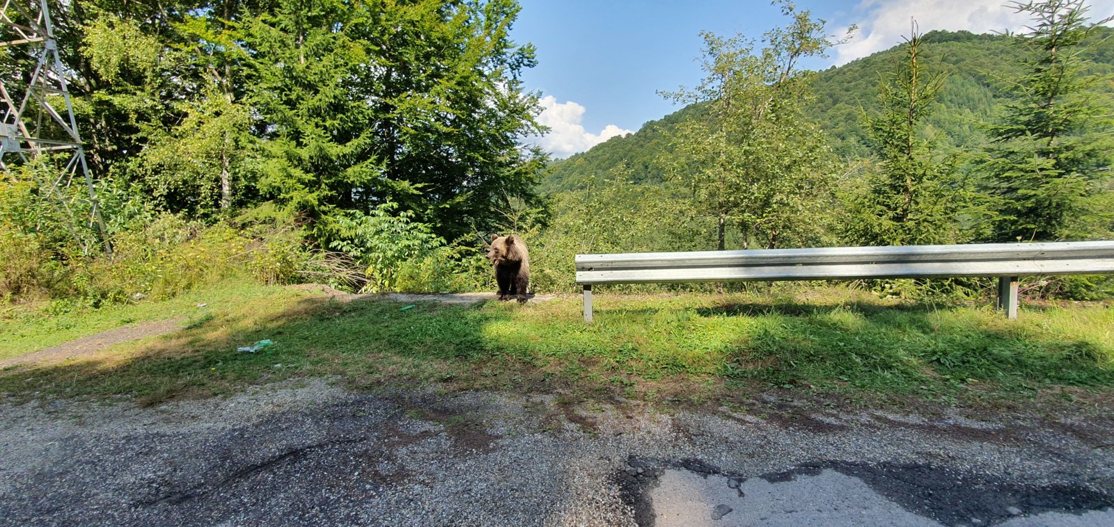 20190828_122358.jpg