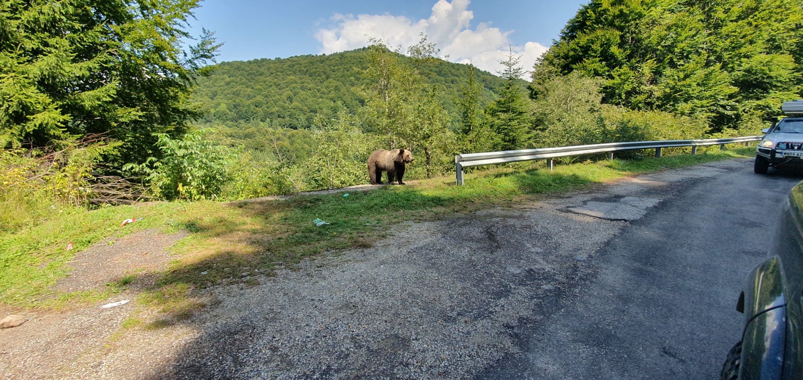 20190828_122402.jpg