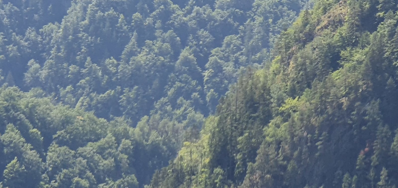 20190828_124230.jpg