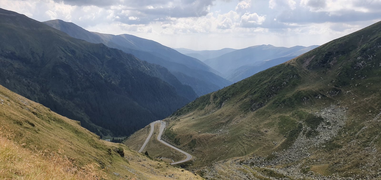 20190828_141946.jpg