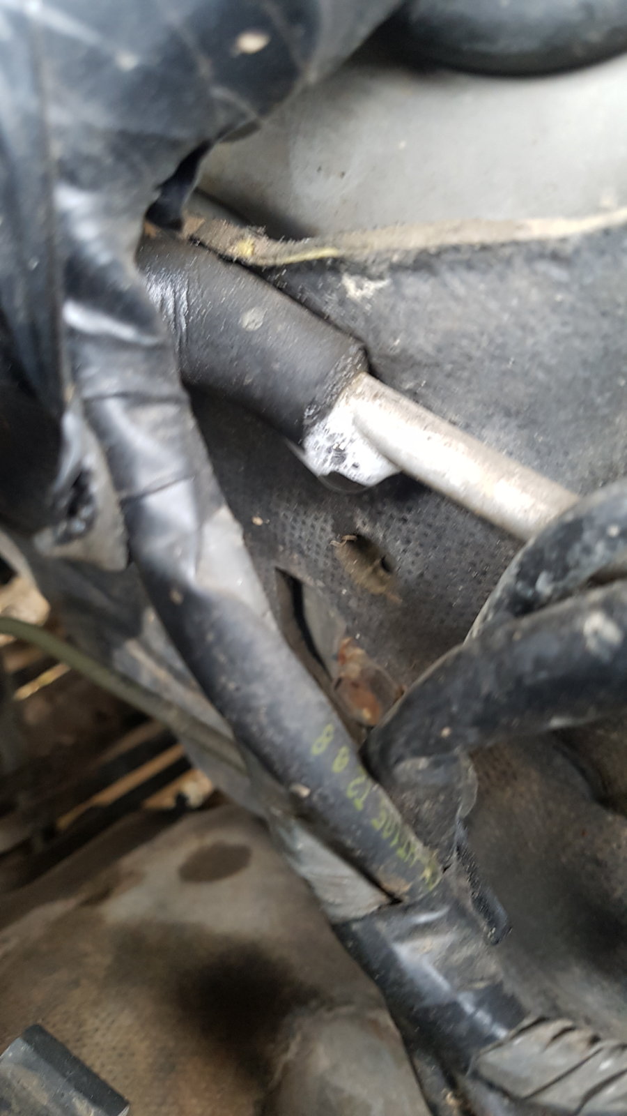 20190831_101729.jpg