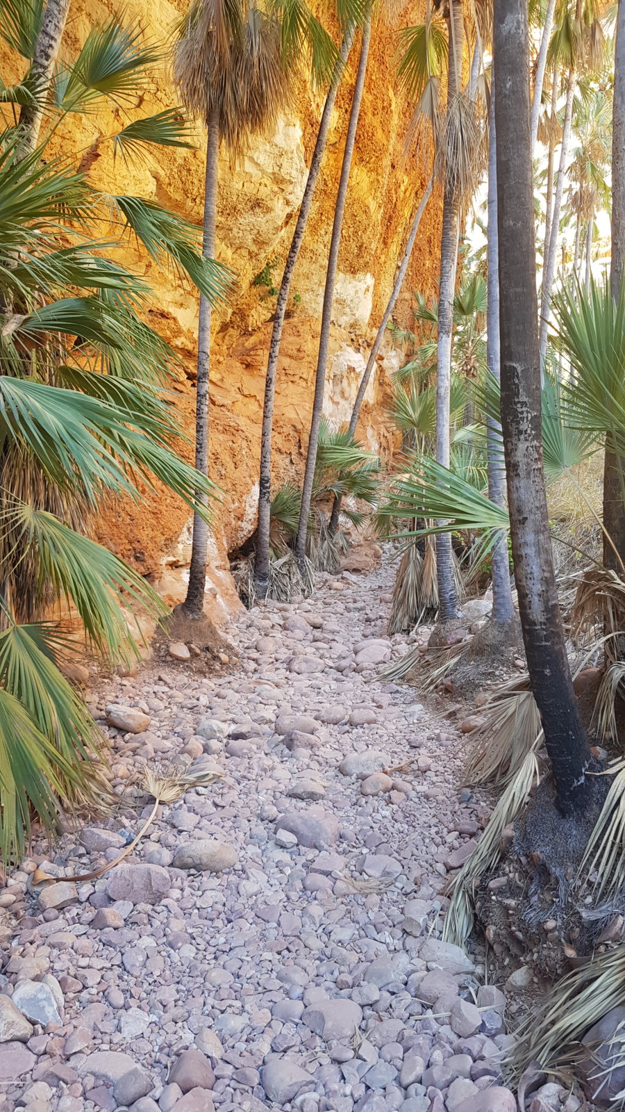 20190903_100849.jpg