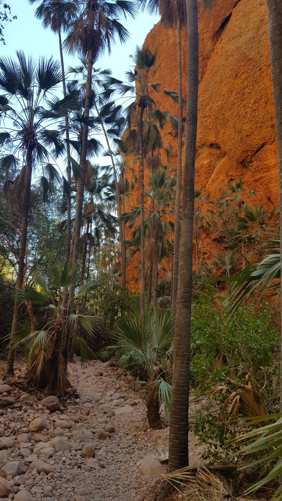 20190903_101113.jpg