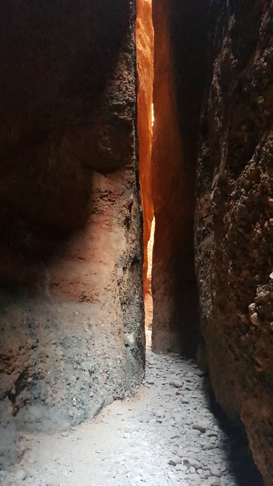 20190903_101736.jpg