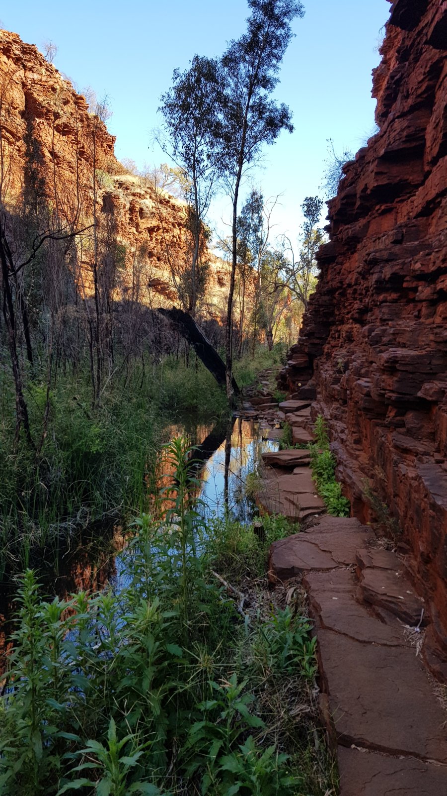 20190906_082147.jpg
