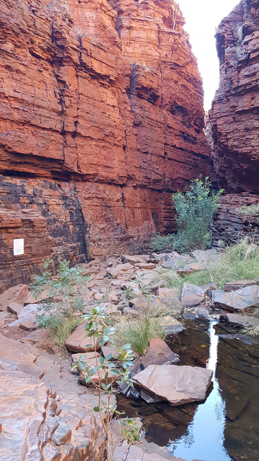 20190906_085851.jpg