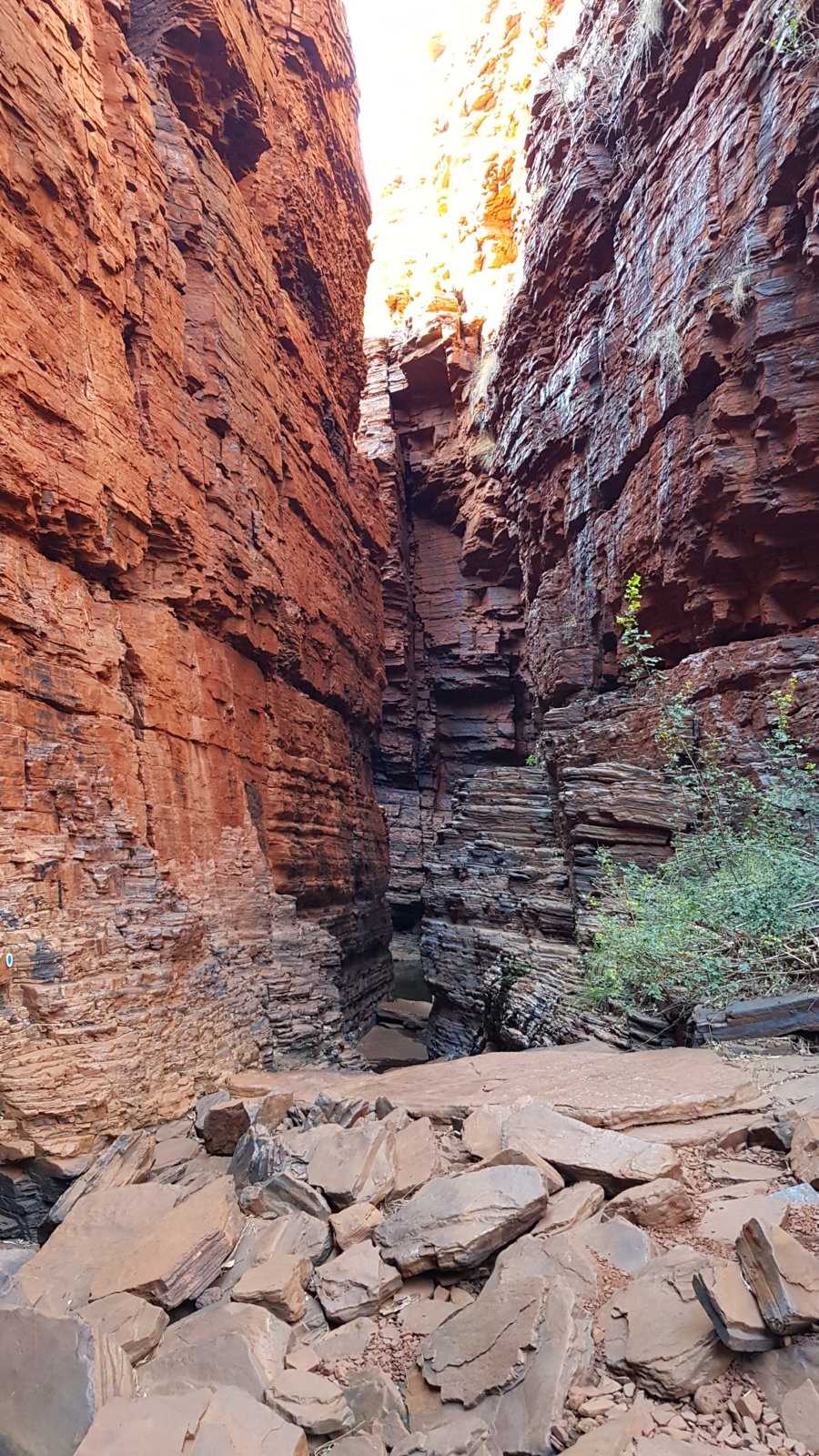 20190906_085937.jpg
