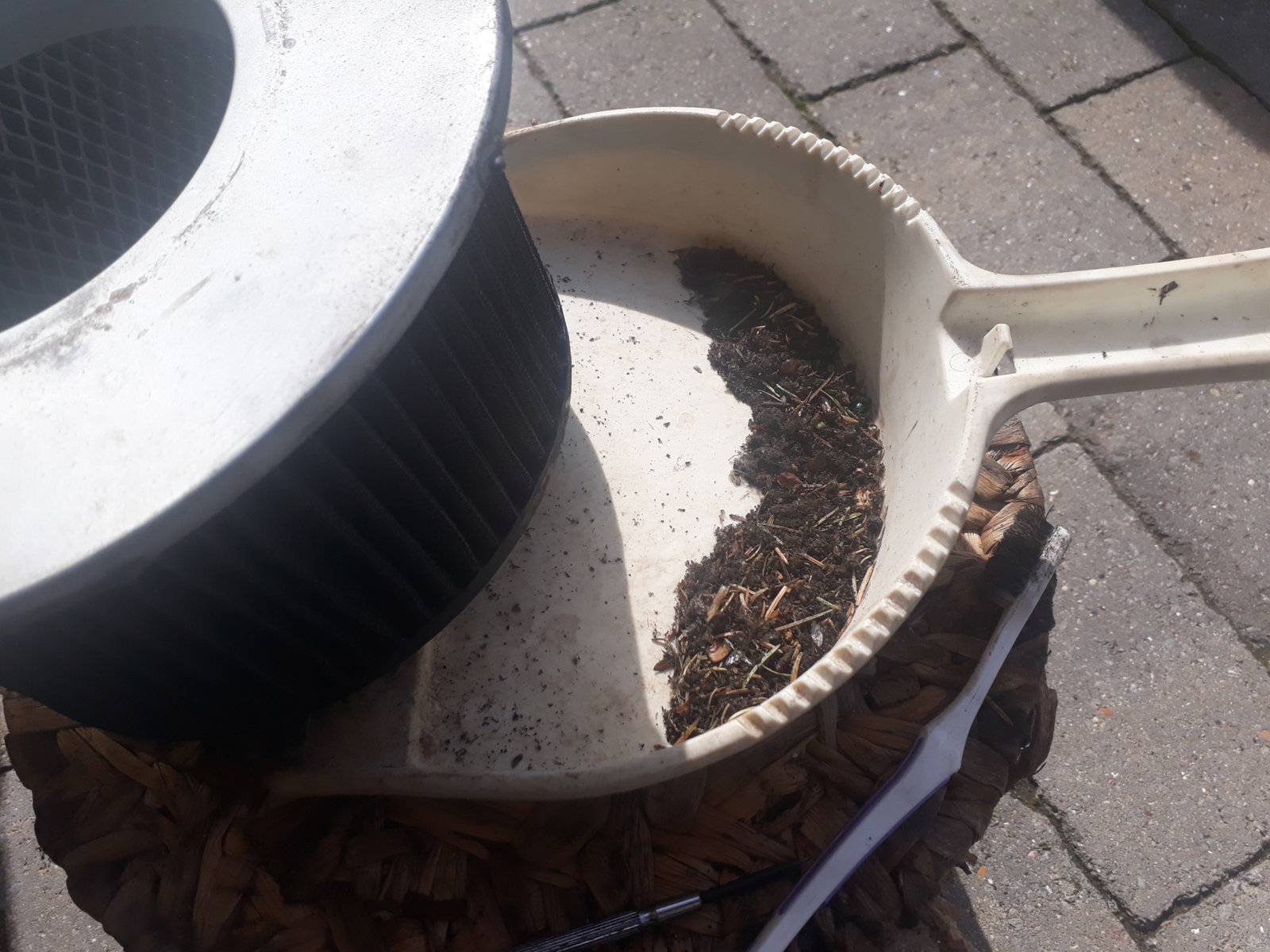 20190916_124301.jpg