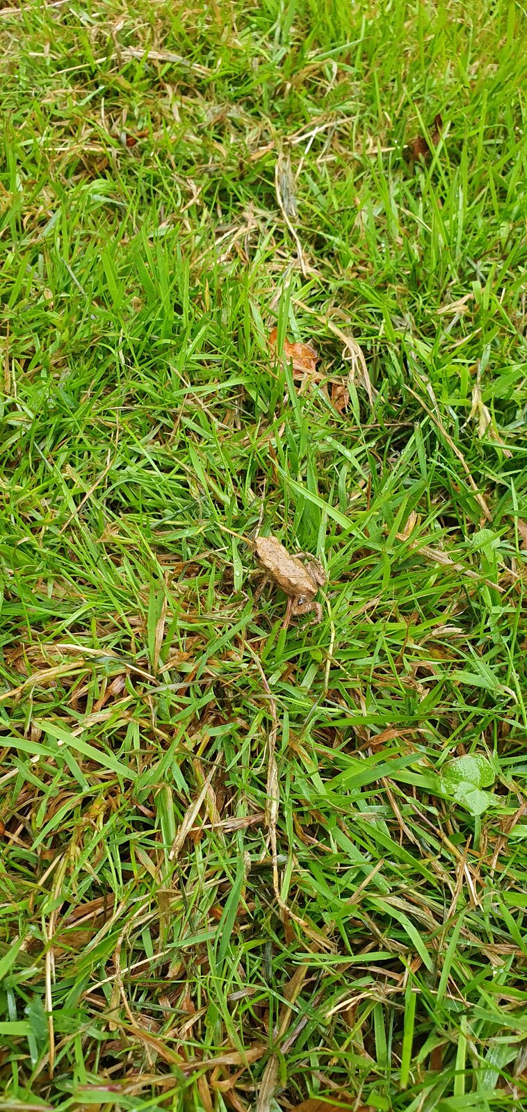 20200725_145520.jpg