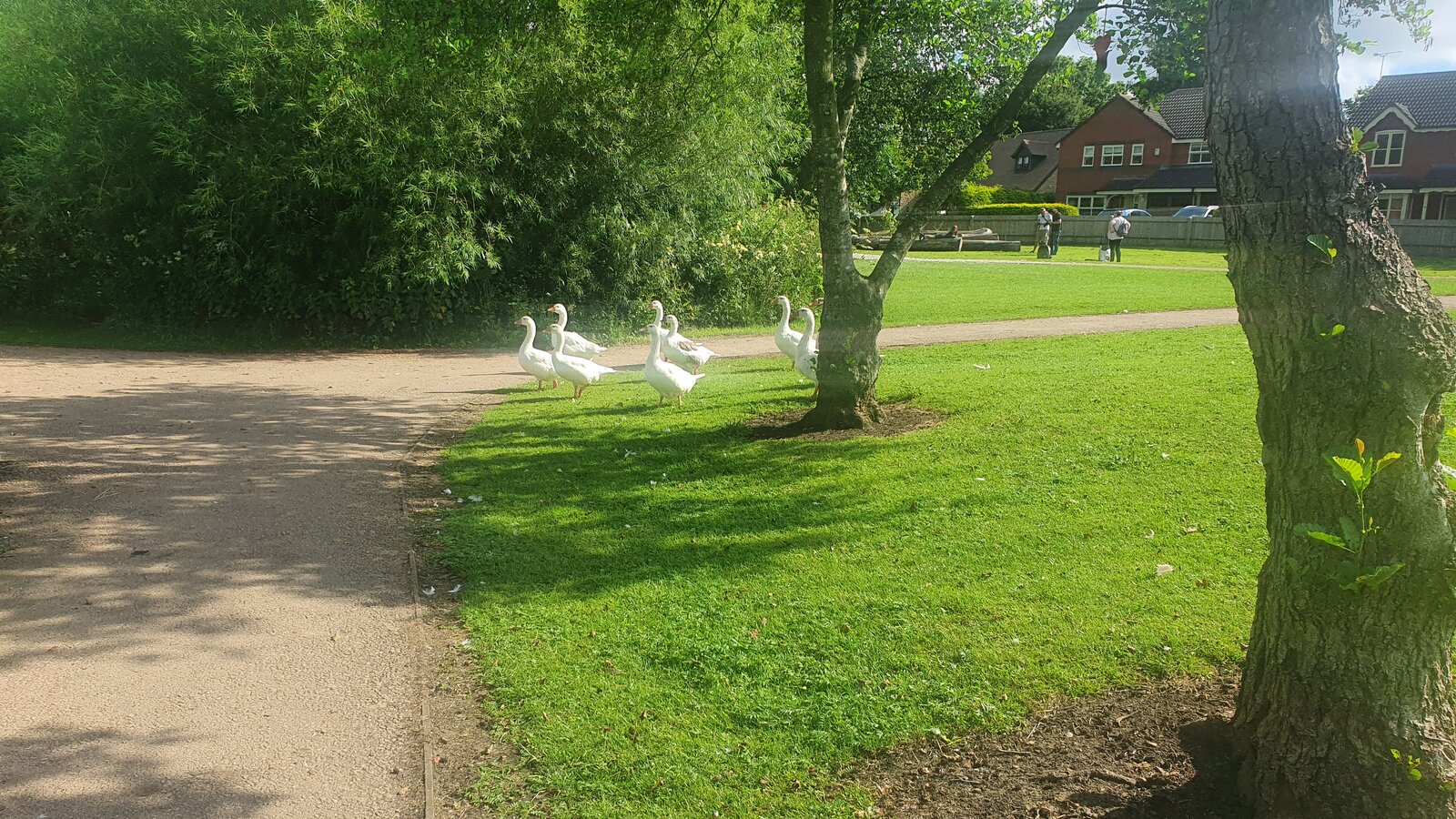 20210711_093431.jpg