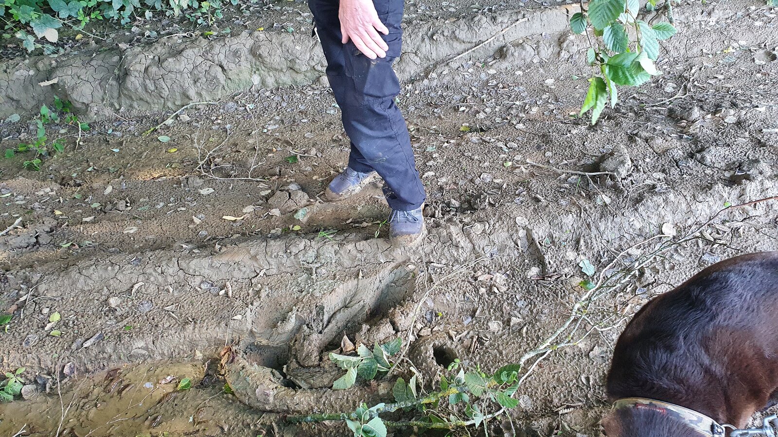 20210806_181733.jpg
