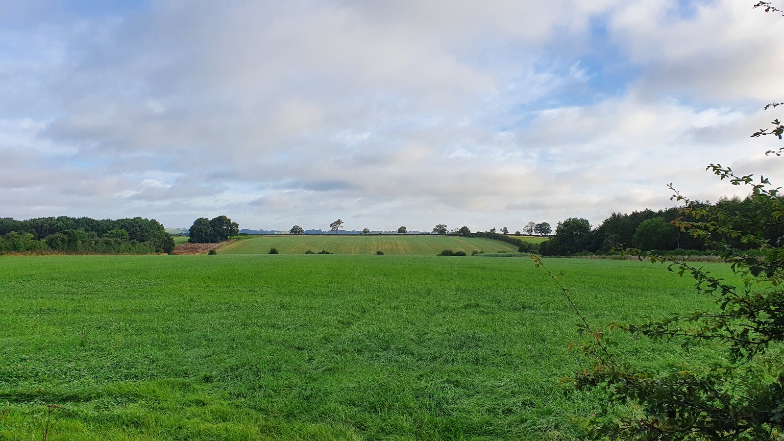 20210807_072854.jpg