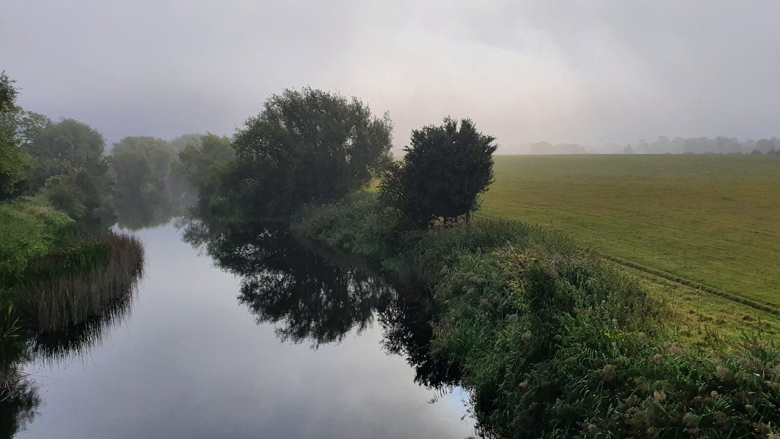 20210918_091707.jpg