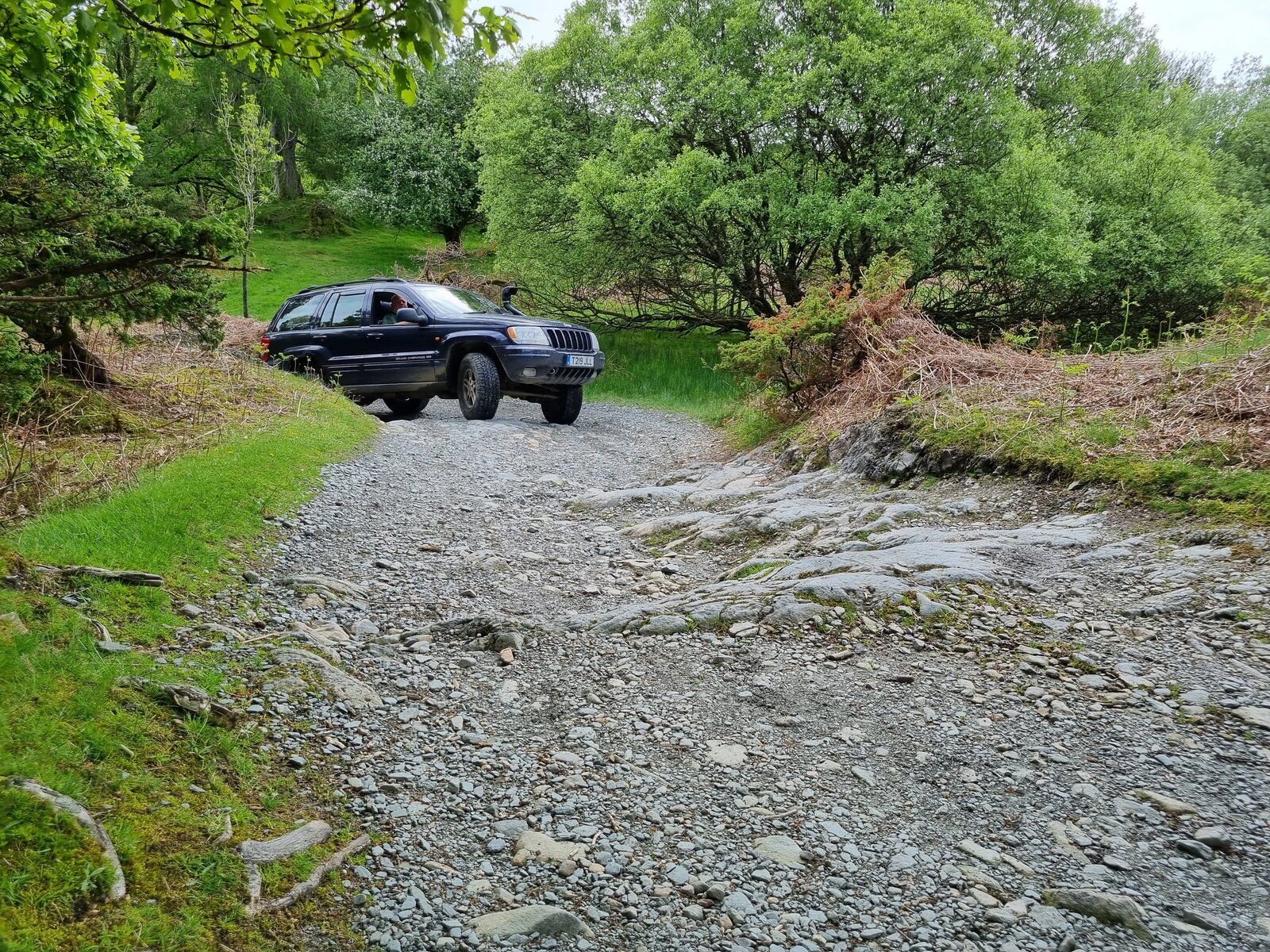 20220518_142314.jpg