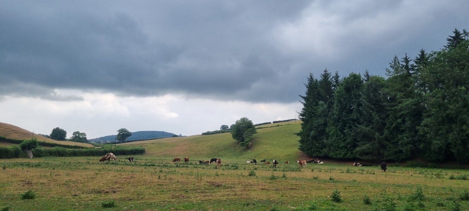 20220722_122129.jpg