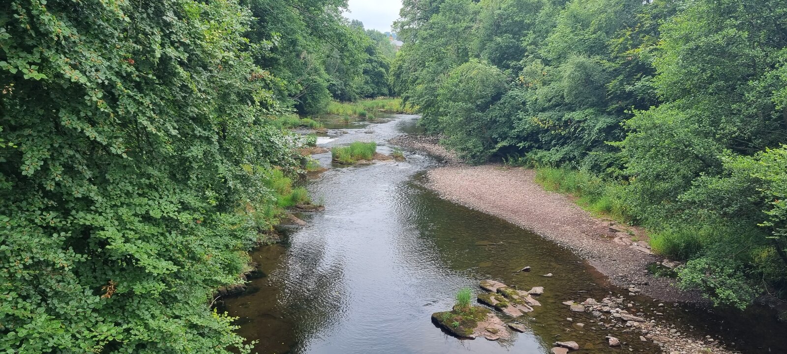 20220723_113702.jpg